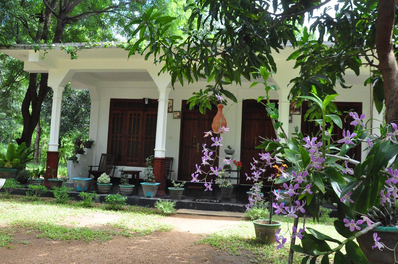 Sigiriya Flower Guest Exterior foto